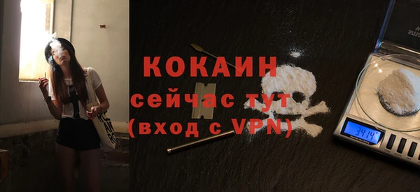 ECSTASY Белокуриха