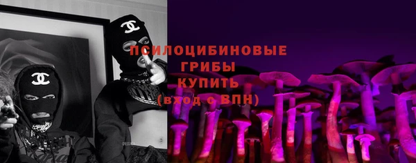 ECSTASY Белокуриха