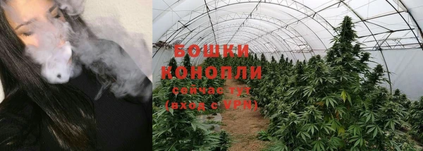ECSTASY Белокуриха