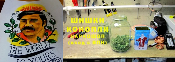 крисы Белоозёрский