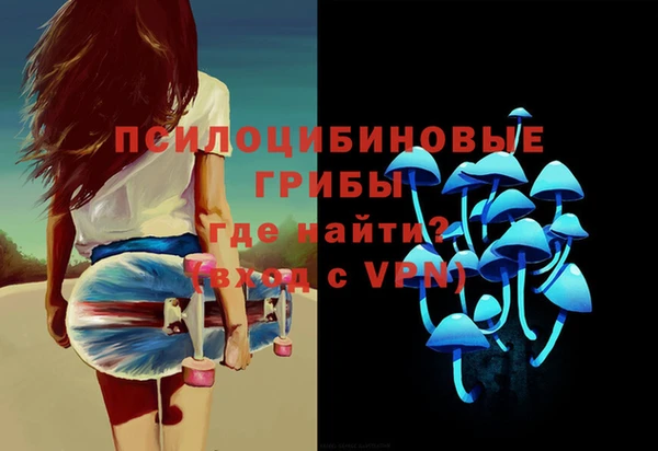 ECSTASY Белокуриха