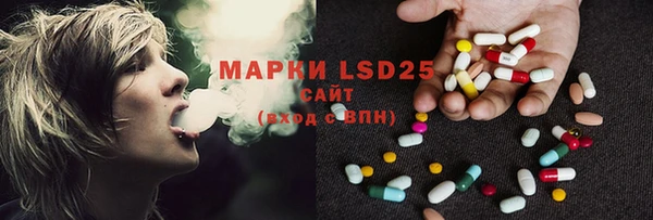 ECSTASY Белокуриха