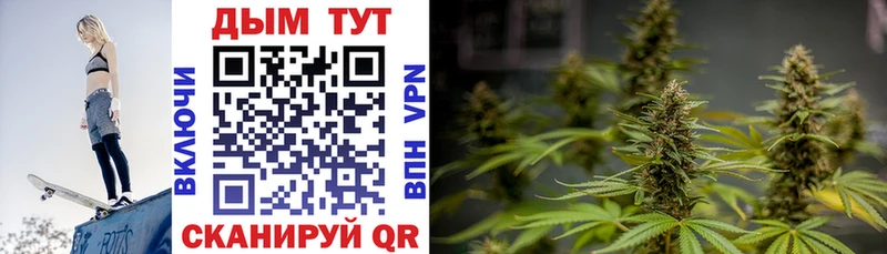 купить   Велиж  Канабис семена 